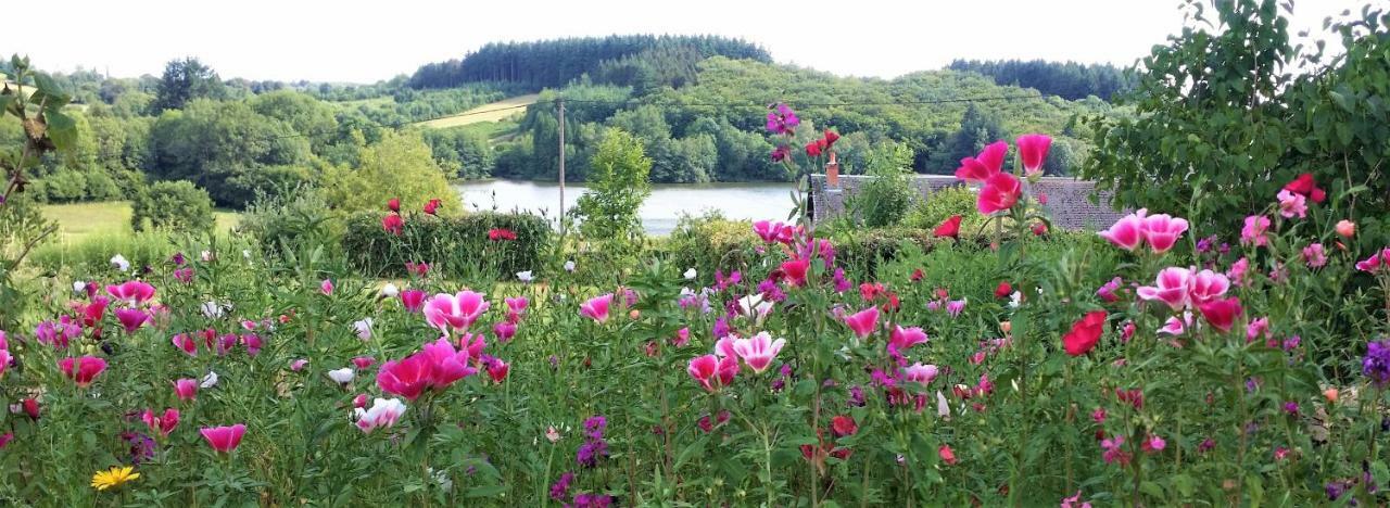 Вилла Gite De Rangere, Rangere Rural Villapourcon Экстерьер фото